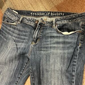 Articles of Society Women’s Straight Jeans 30